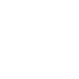 Etoile Bracelets